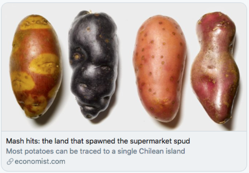 Screen Shot 2020-09-02 at 9.39.07 PM.png